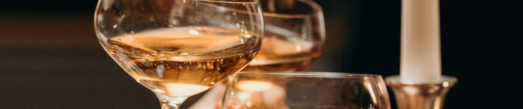 Celebrating the Season and the Journey Ahead